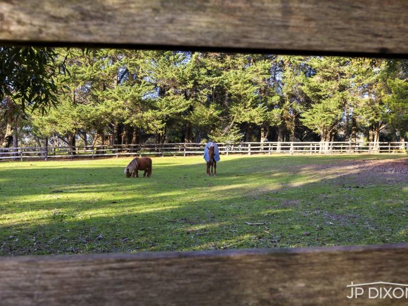 74 Graydens Road, TYABB, VIC 3913 Australia