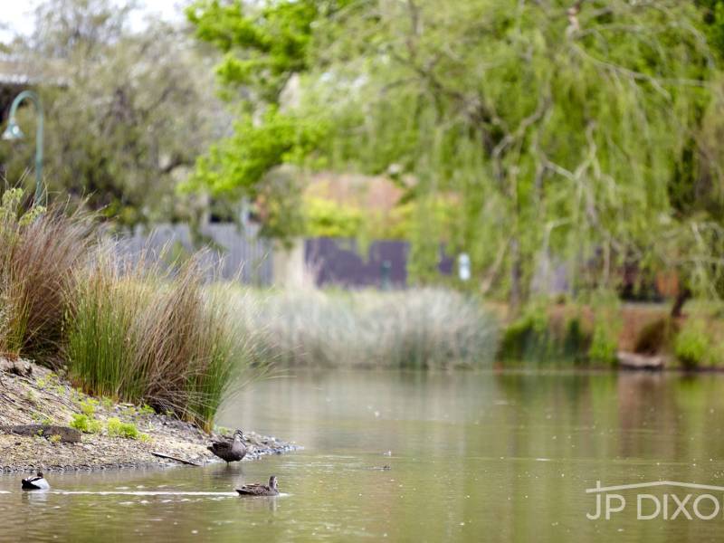 56 Landcox Street, BRIGHTON EAST, VIC 3187 Australia