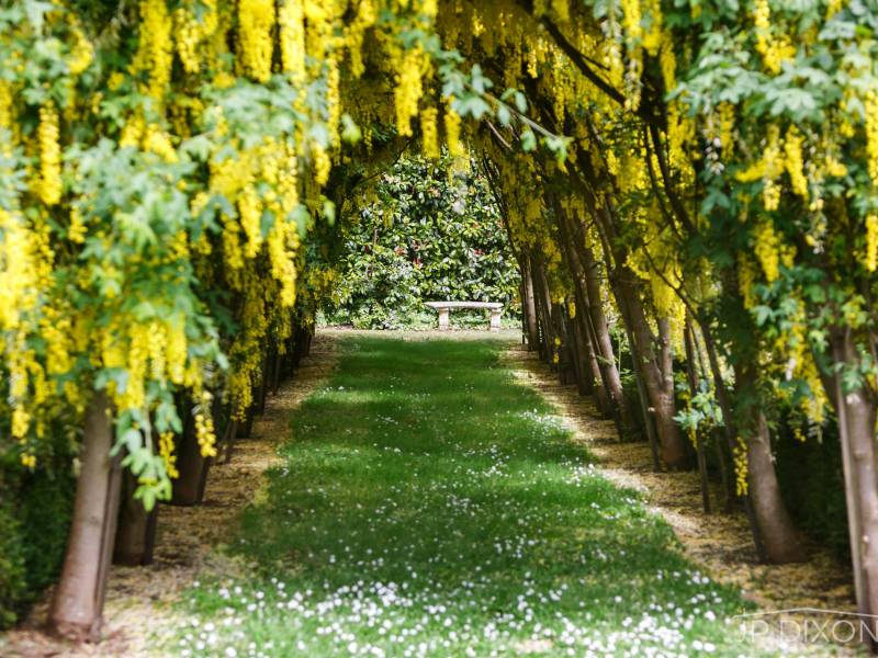 40 Ocean View Avenue, RED HILL SOUTH, VIC 3937 Australia