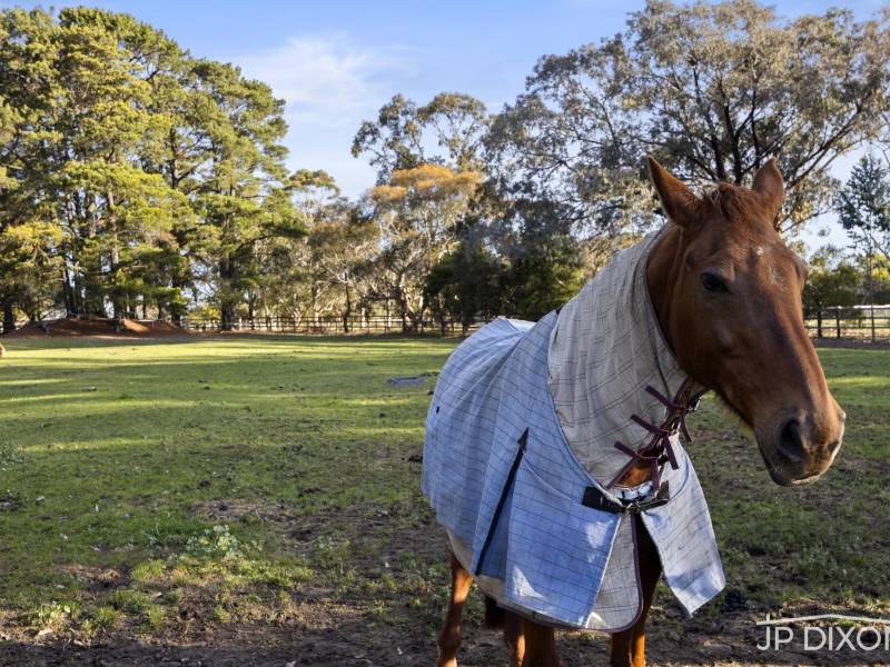 247 Coolart Road, TYABB, VIC 3913 Australia