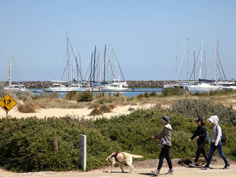 1 Normanby Street, BRIGHTON, VIC 3186 Australia