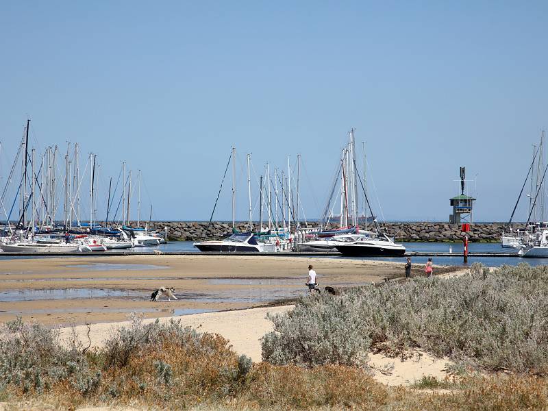 1 Normanby Street, BRIGHTON, VIC 3186 Australia