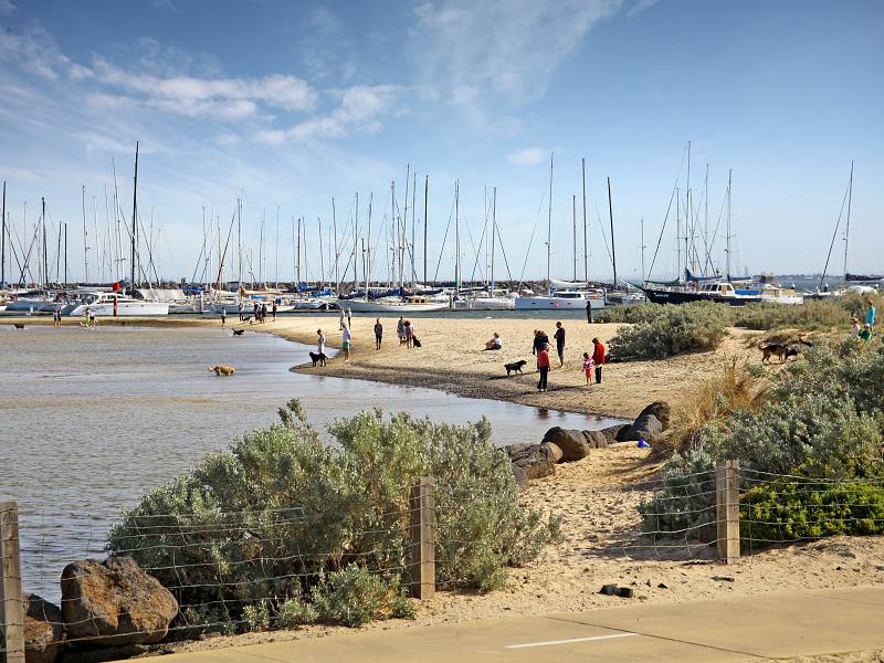 1 Normanby Street, BRIGHTON, VIC 3186 Australia