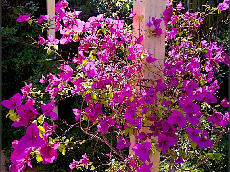 22 Milroy Street, BRIGHTON EAST, VIC 3187 Australia