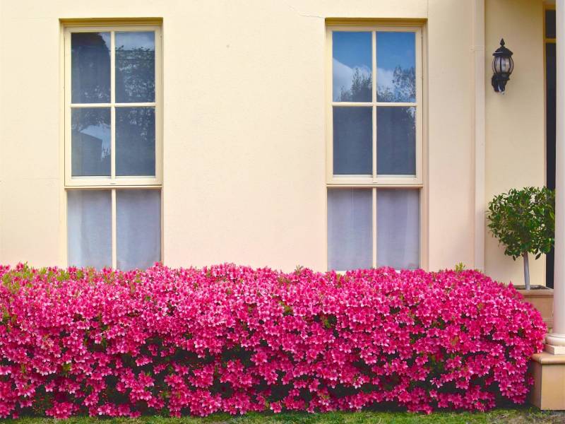 22 Milroy Street, BRIGHTON EAST, VIC 3187 Australia