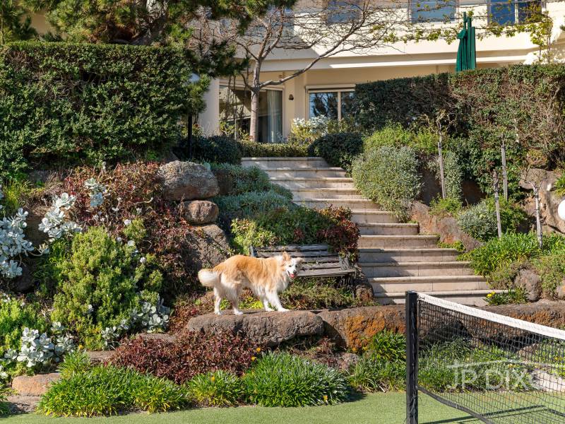 12 Moule Avenue, BRIGHTON, VIC 3186 Australia