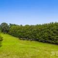 170 Patterson Road, BONEO, VIC 3939 Australia