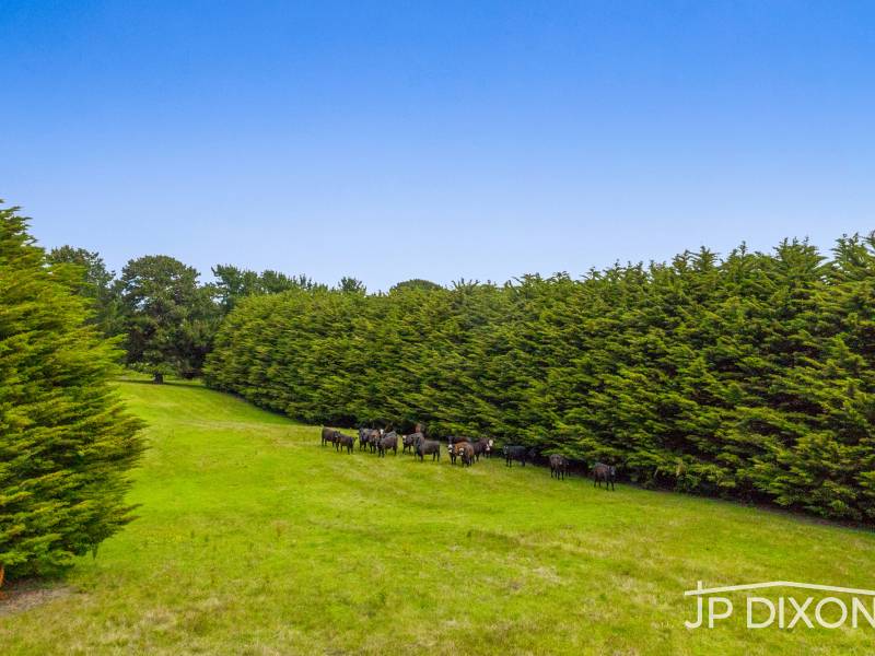 170 Patterson Road, BONEO, VIC 3939 Australia