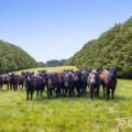 170 Patterson Road, BONEO, VIC 3939 Australia