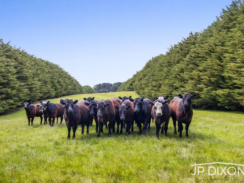 170 Patterson Road, BONEO, VIC 3939 Australia
